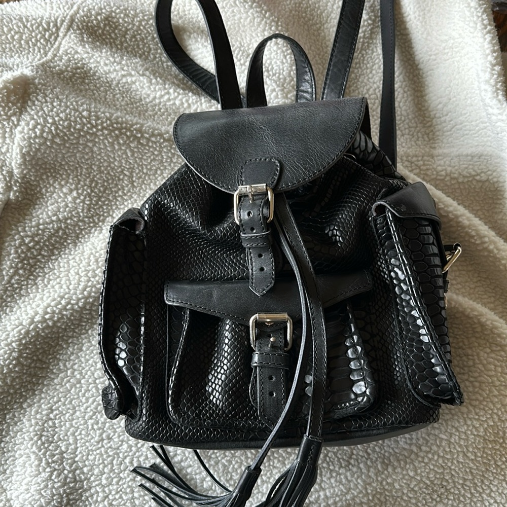 Freebird by Steven Brett backpack